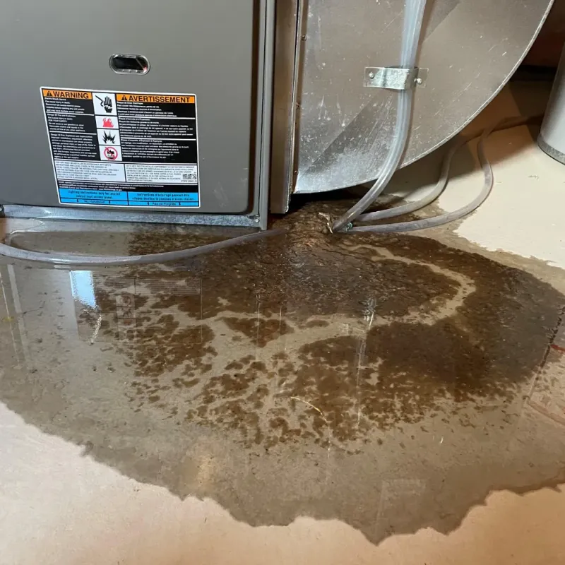 Appliance Leak Cleanup in Avon, IN